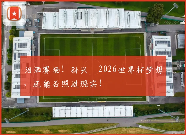 泪洒赛场!孙兴慜2026世界杯梦想,还能否照进现实!