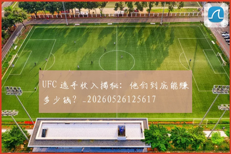 UFC 选手收入揭秘：他们到底能赚多少钱？_20260526125617