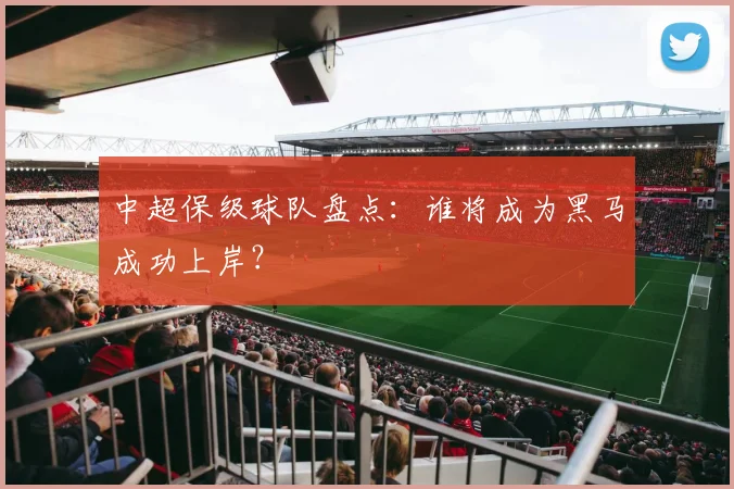 中超保级球队盘点：谁将成为黑马成功上岸？