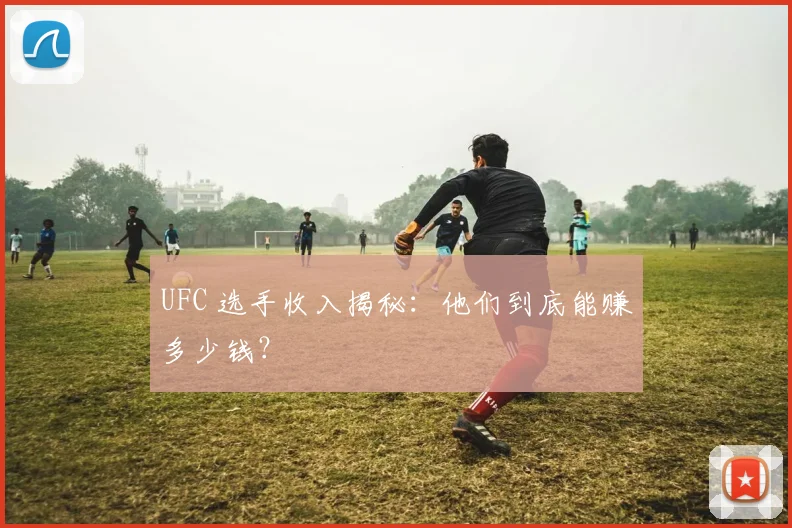 UFC 选手收入揭秘:他们到底能赚多少钱?