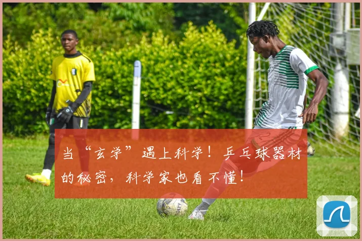当“玄学”遇上科学!乒乓球器材的秘密,科学家也看不懂!
