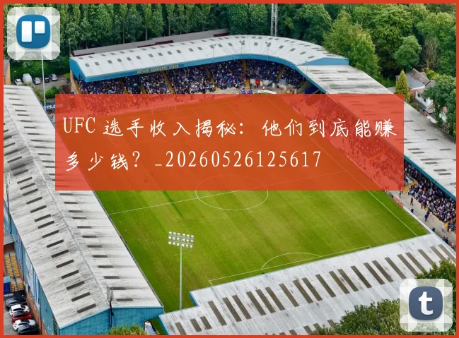 UFC 选手收入揭秘：他们到底能赚多少钱？_20260526125617